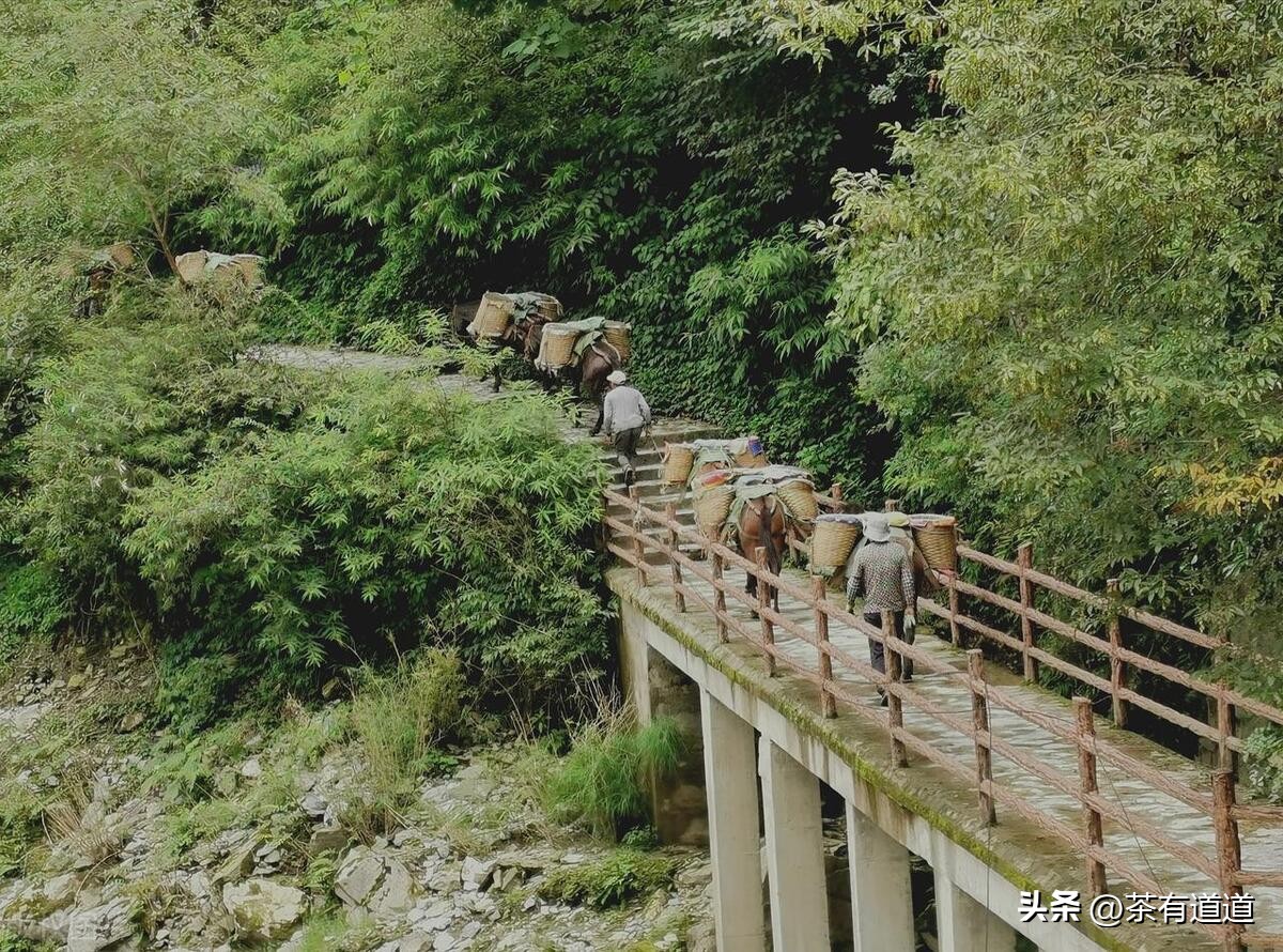 进入怒江雾村必走的茶马古道,怒江大峡谷茶马古道雾里村