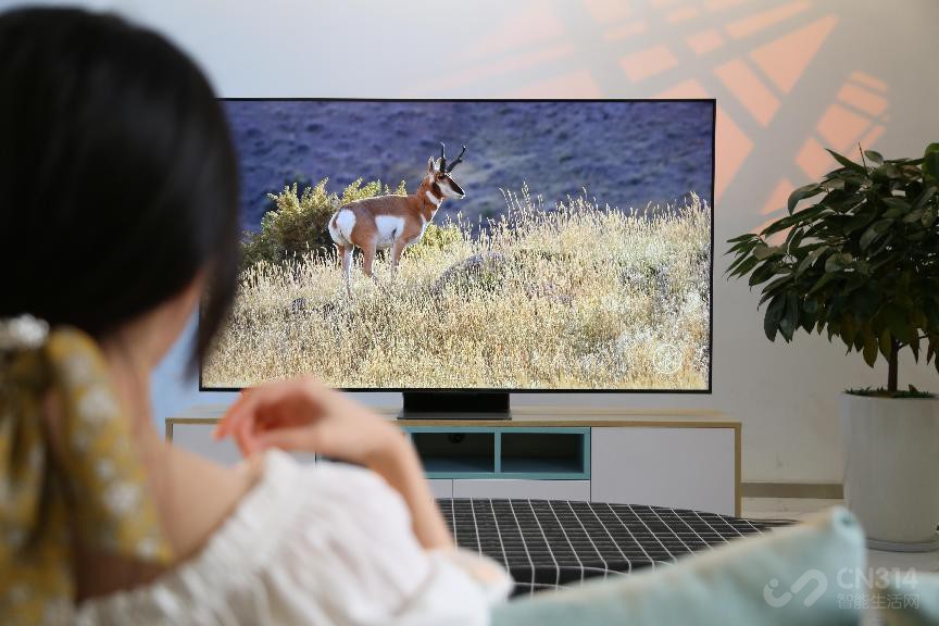 miniled画质提升明显吗,miniled画面模糊