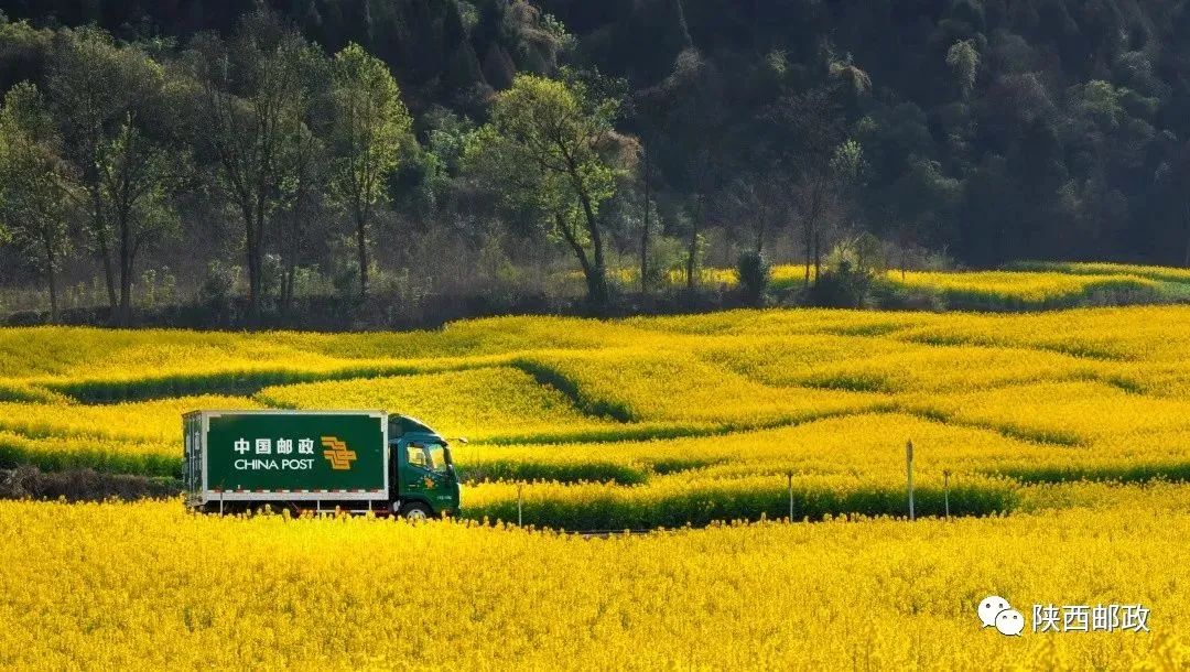使命感和荣誉感,国有企业的担当和责任