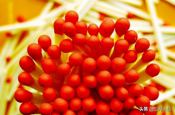 北欧五国之瑞典:永久中立背后的闲情逸致