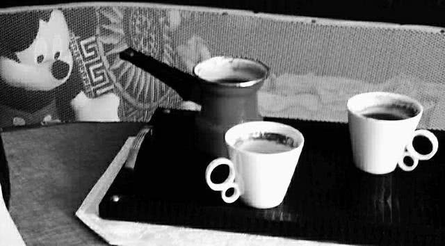 浙江农家女在塞尔维亚十年创业，经历了偷渡打工经商未婚生子