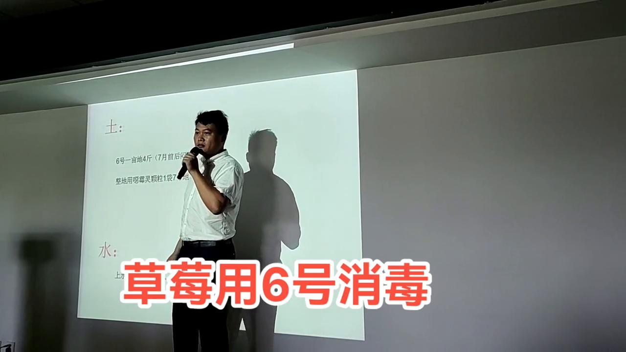 草莓病虫害专用药,草莓表面可以用75%酒精消毒吗