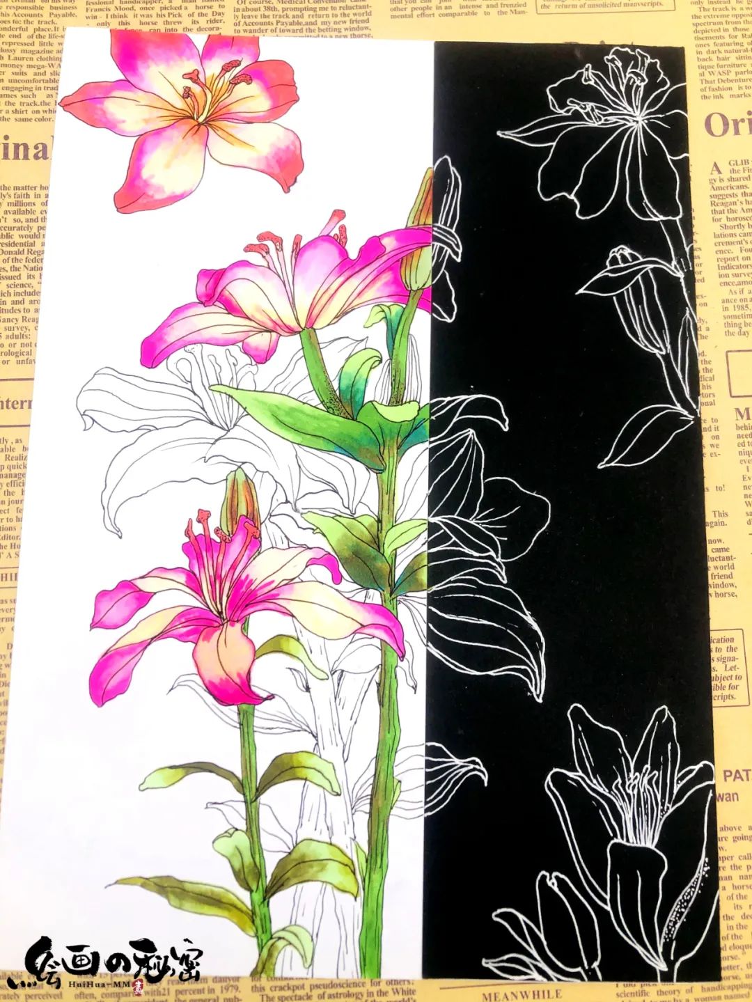 百合花折纸,百合花养殖方法