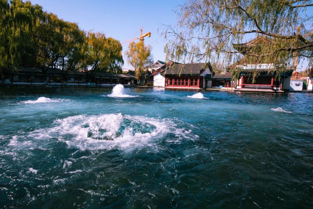 2023泉城新春贺年会来啦!灯会庙会游园会统统都有