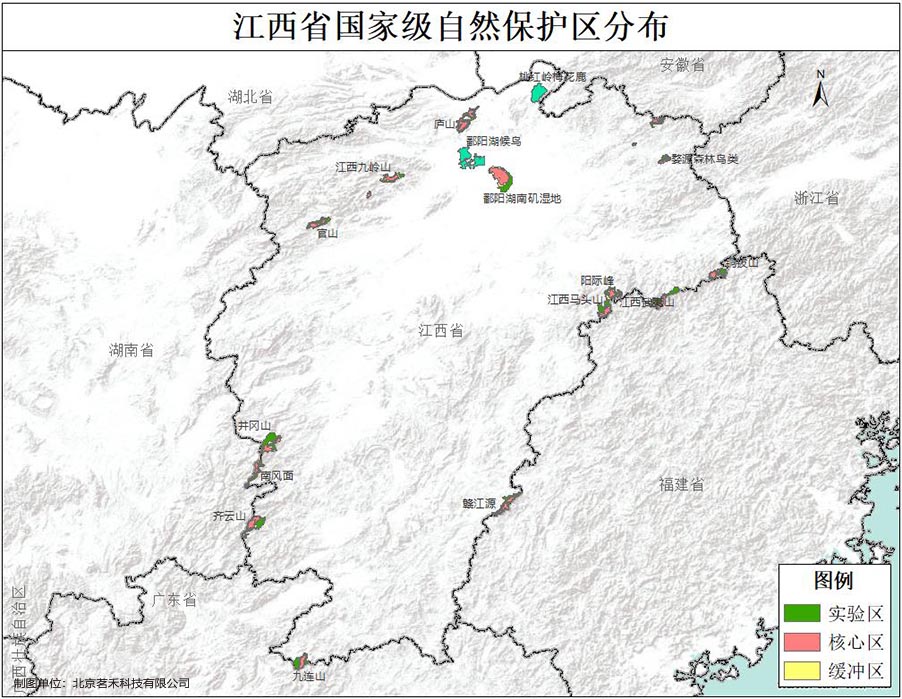 极其罕见！江西首现活体“牢底坐穿蝶”雌蝶，1只为何价值百万？