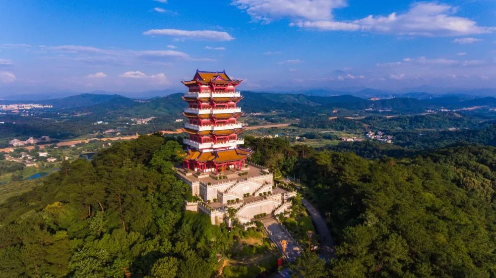 letsgo一周目攻略,letsgo图鉴攻略