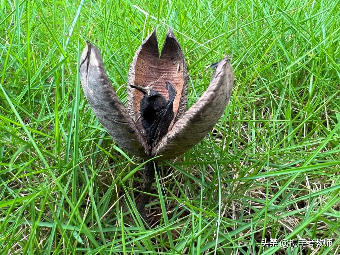 教师资格综合素质常识,教师资格证综合素质重点中小学