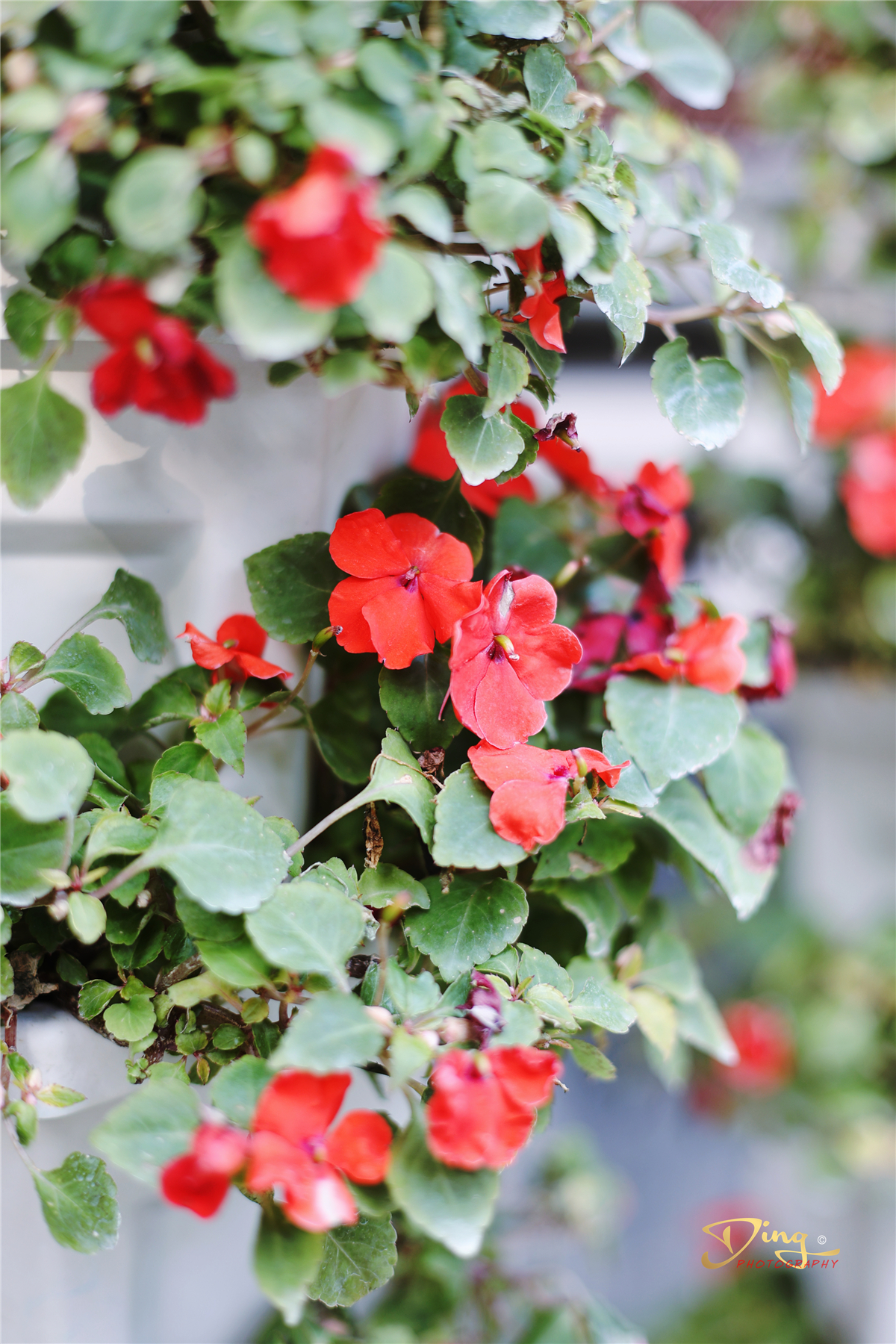 苏州梦里江南二日游攻略,苏州自驾游太湖最佳景点推荐