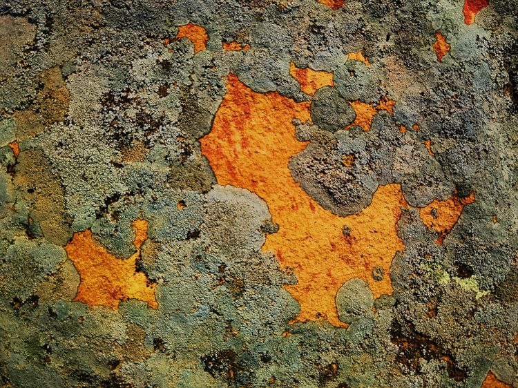 旅顺城山,旅顺城山怎么绕过去