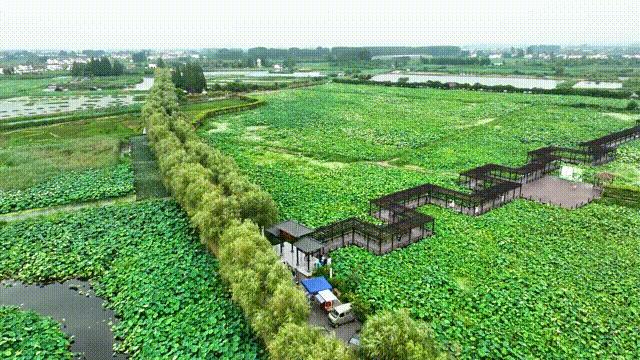 金陵中学新校区何时搬迁,金陵中学新校区最新消息