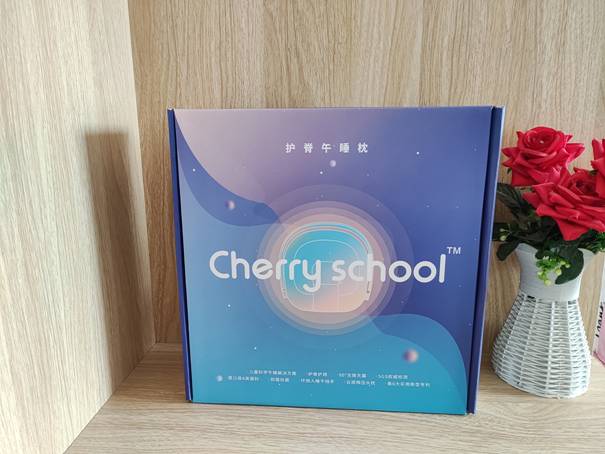 儿童午睡枕测评对比,学生午休枕推荐哪款好用亲测