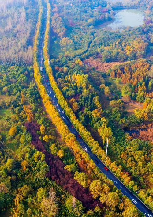 安徽省合肥市旅游景点路径图,合肥市好玩的旅游景点