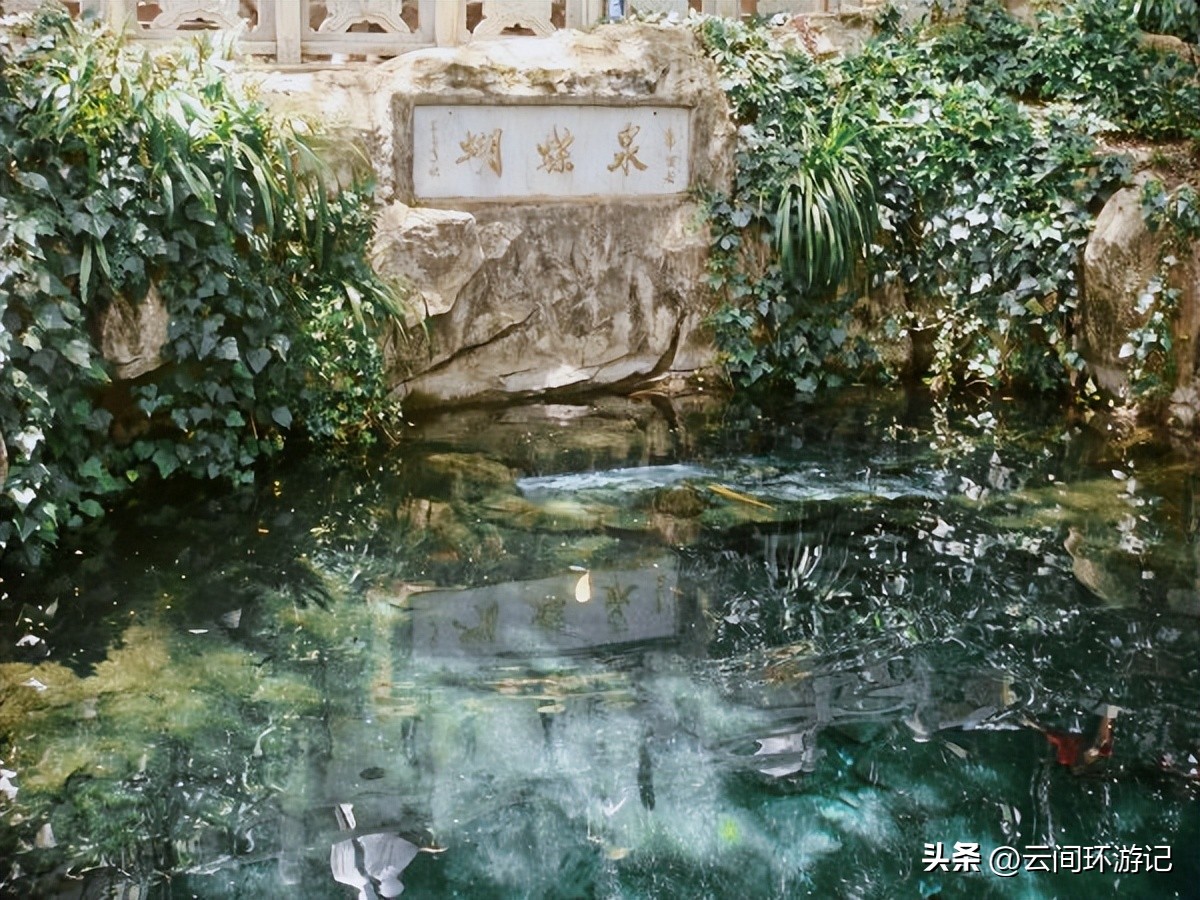 「一根风花雪月的鸡毛」（云南丨昆大丽香）