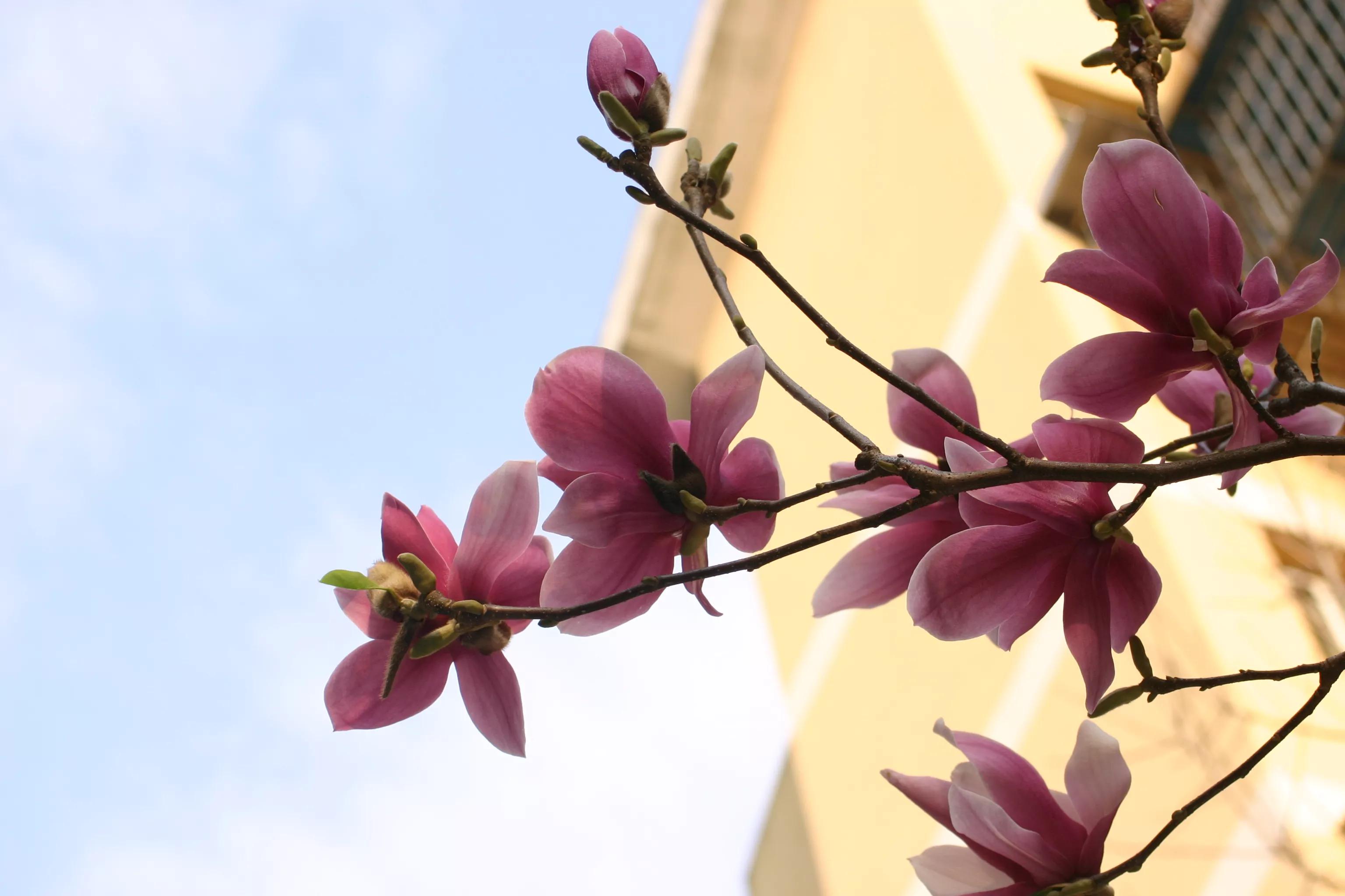 佳能入门机器能拍出好照片,佳能300d入门级