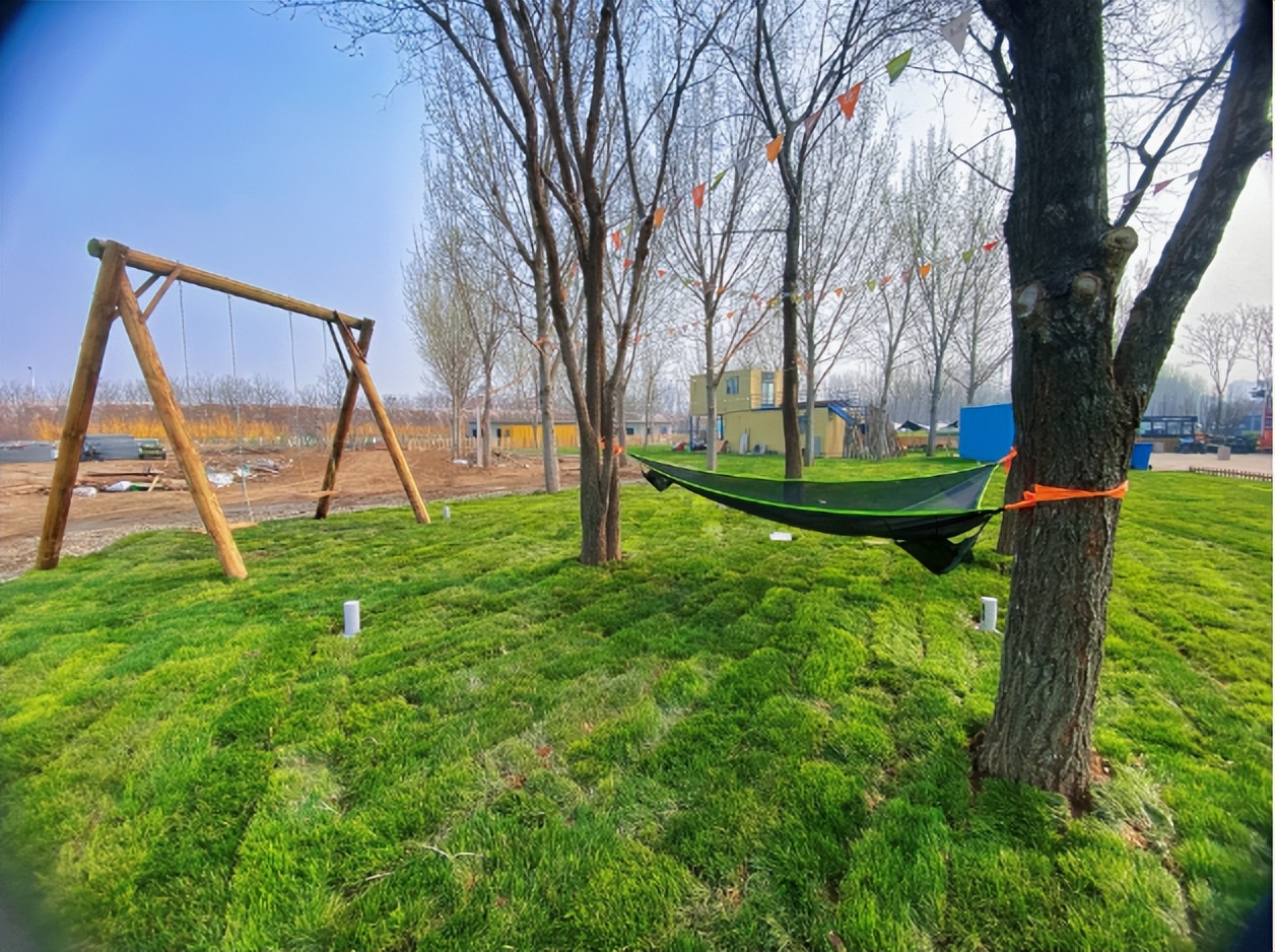 天津房车公园露营基地,一张天幕露营