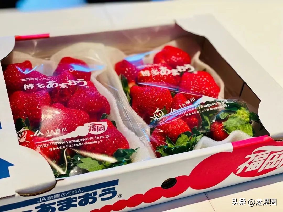 香港优才需要居住香港吗,普通人有哪些申请定居香港的方式