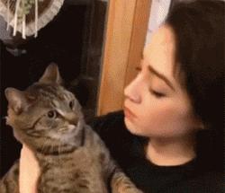 和猫睡觉总是半夜被吵醒,跟猫睡为什么会做噩梦