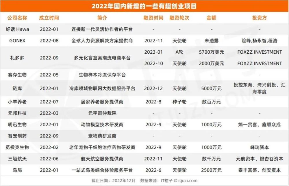 芯片等热门赛道太挤了，VC们投了这些门槛不那么高、又有趣的项目