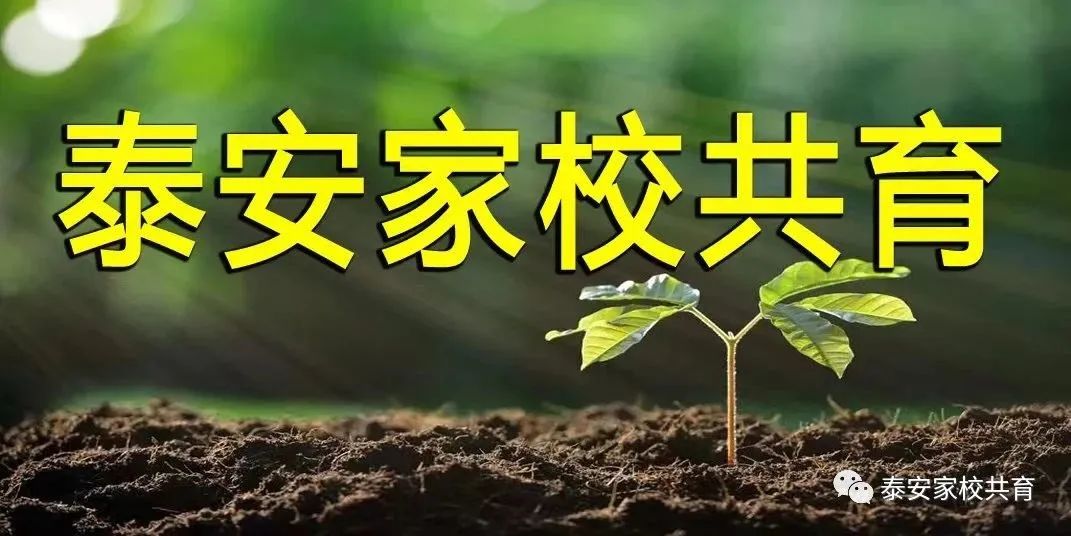 学语文有时就是要死记硬背,学语文死记硬背真的好吗