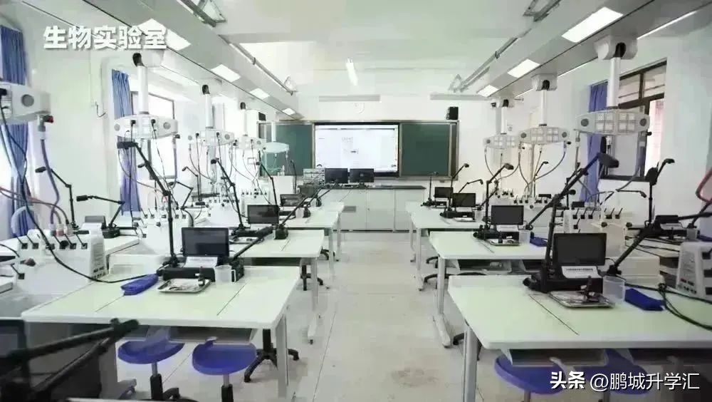 2024年深圳高中校园开放日,深圳市校园开放日