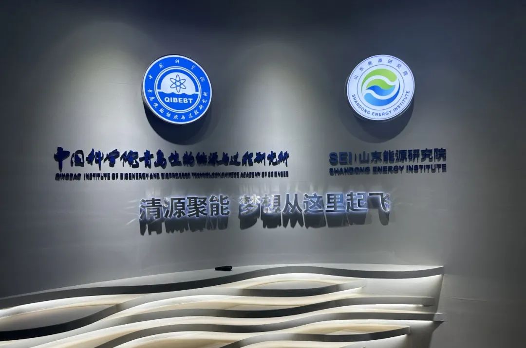 中国科学院青岛能源所,中国科学院青岛生物能源研究所