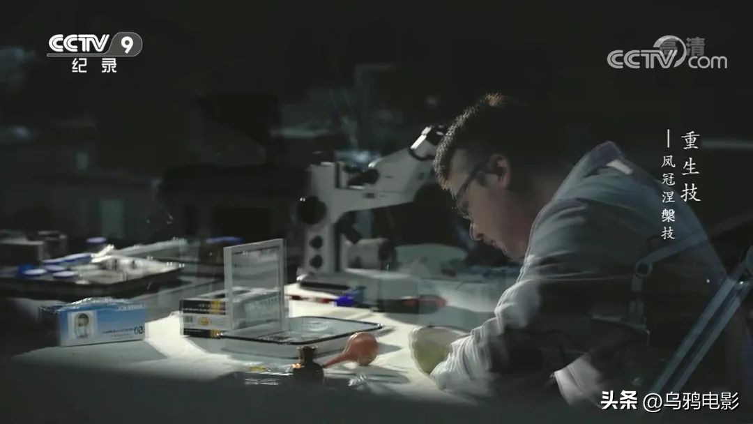 一口气八集!拿命换来的燃,果然是央视良心