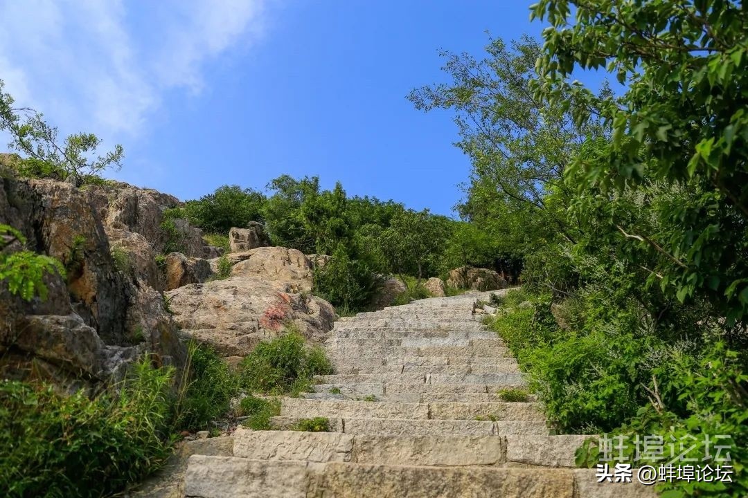 重阳节登高赏秋祈福视频,重阳节赏秋登高感恩敬老
