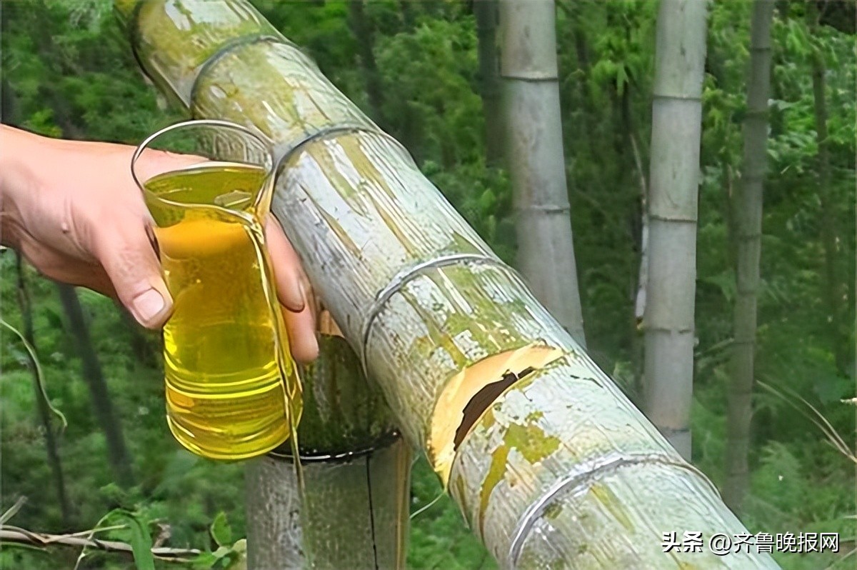 白酒酿造小常识,白酒酿造内幕大揭秘