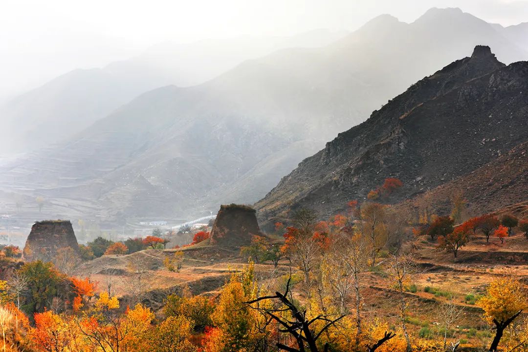 迎接党的20大美术作品,喜迎二十大乡村摄影展