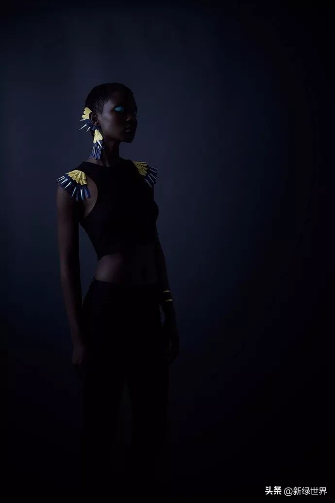 一组纸艺作品,令人惊艳的纸艺作品