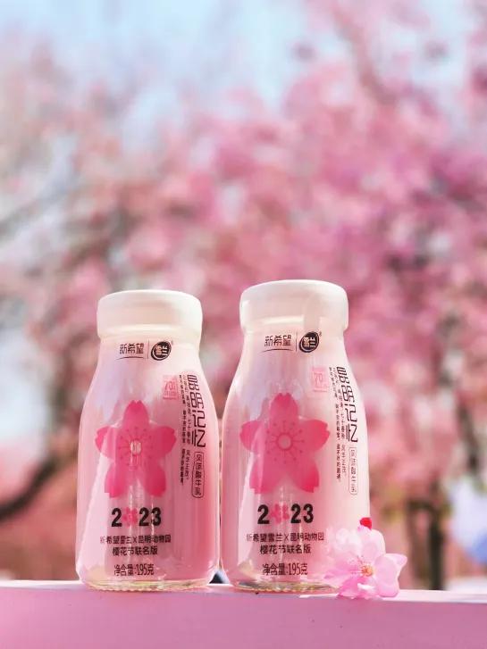 樱花节系列活动,樱花节新意互动
