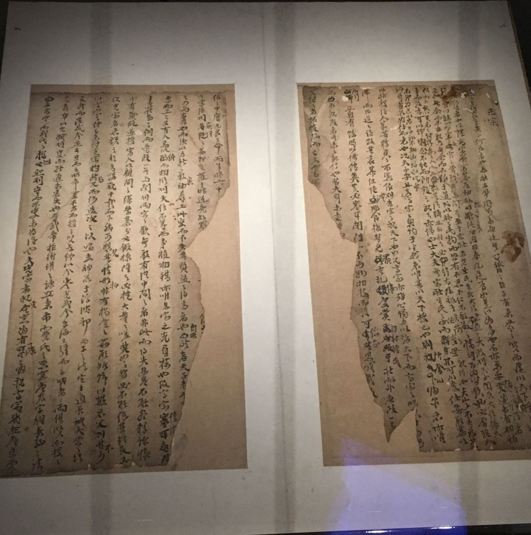 考研不考数学的专业推荐张雪峰,考研不考数学的专业分数线