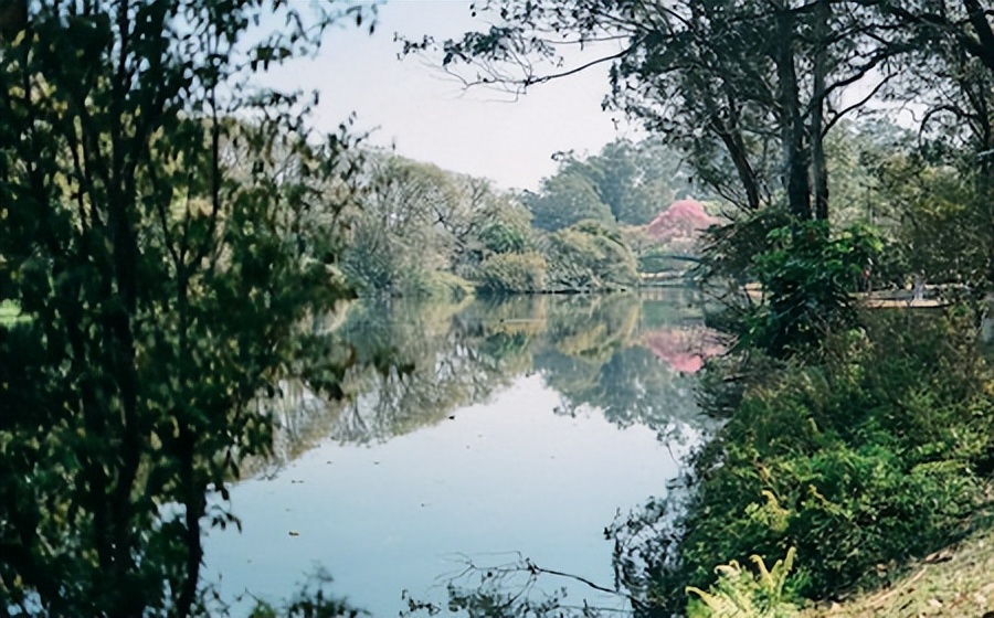 教育学考研考哪些科目,学硕教育学考研科目有哪些