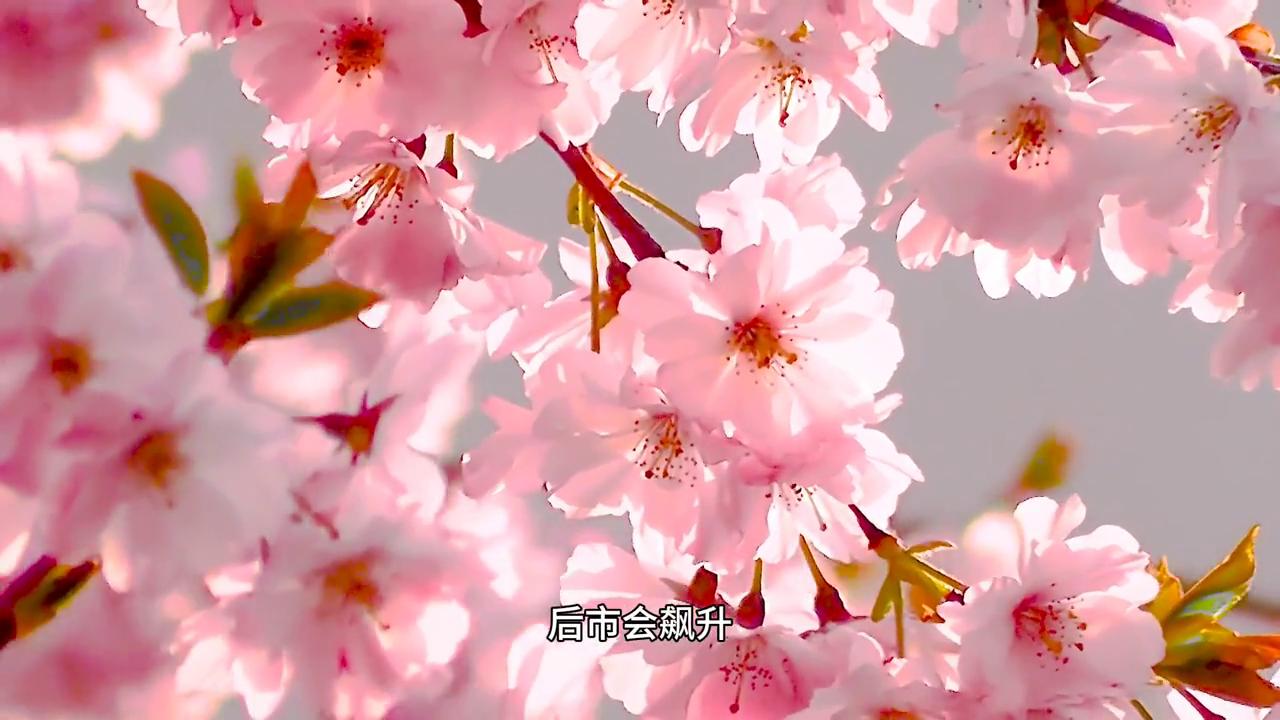 如何挑选适合自己的股票,如何选择适合自己的股票