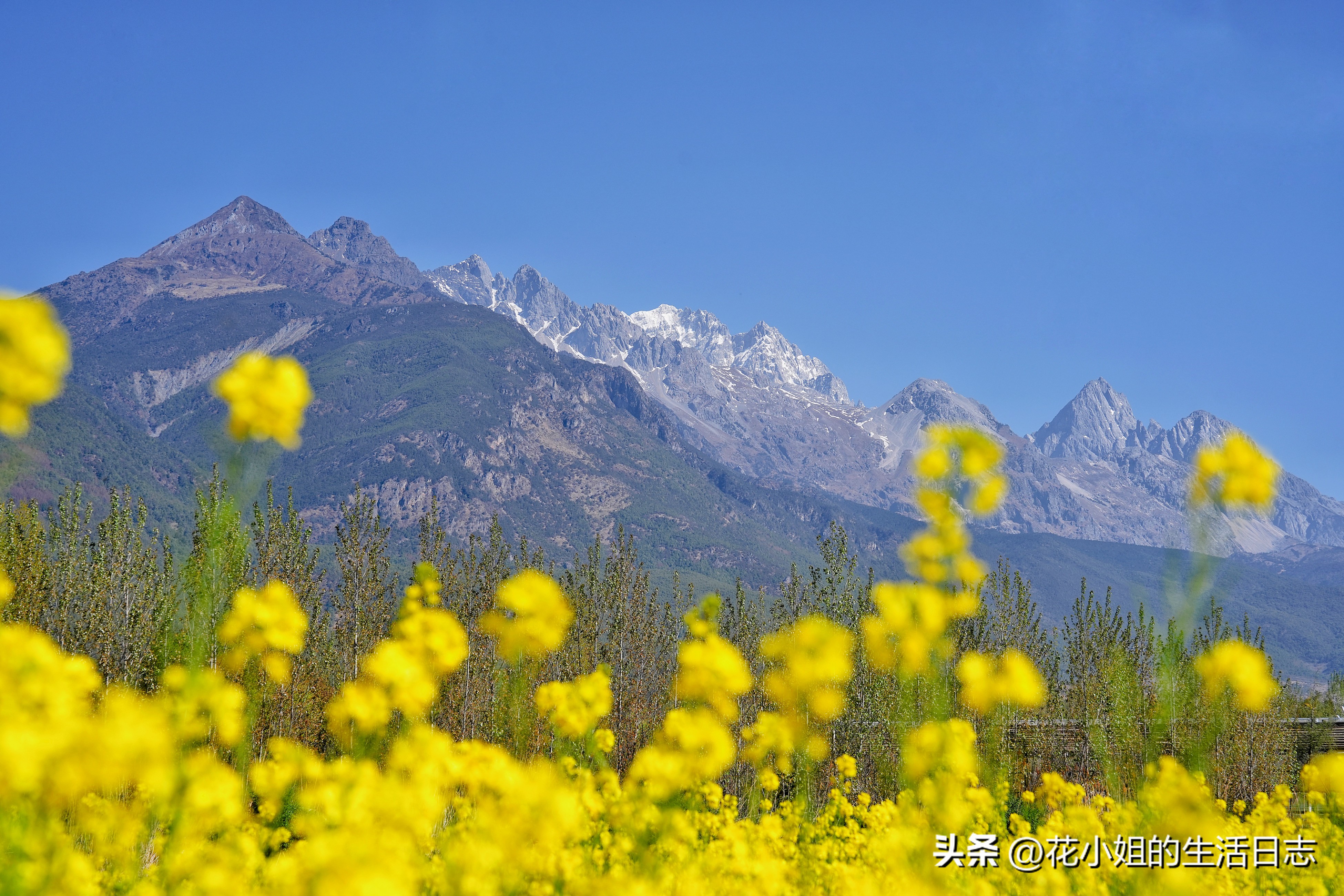 丽江束河古镇民宿价格表,丽江住一晚3000元的酒店