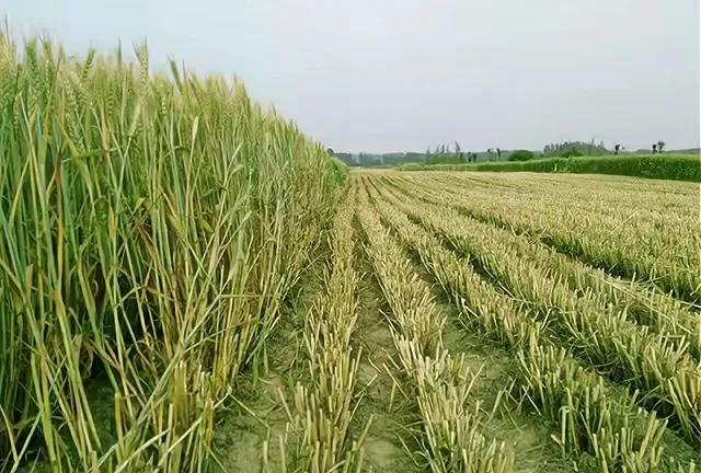 谈谈自己对农村工作的看法,谈谈你对贵州农村的理解