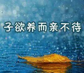 父亲说的8句话改变我的一生,父亲一辈子最经典的话