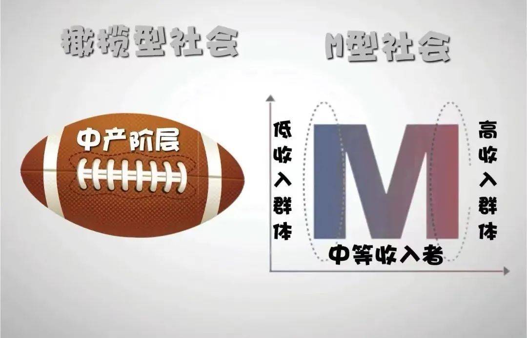 k型社会和m型社会,k型时代有哪些新活法