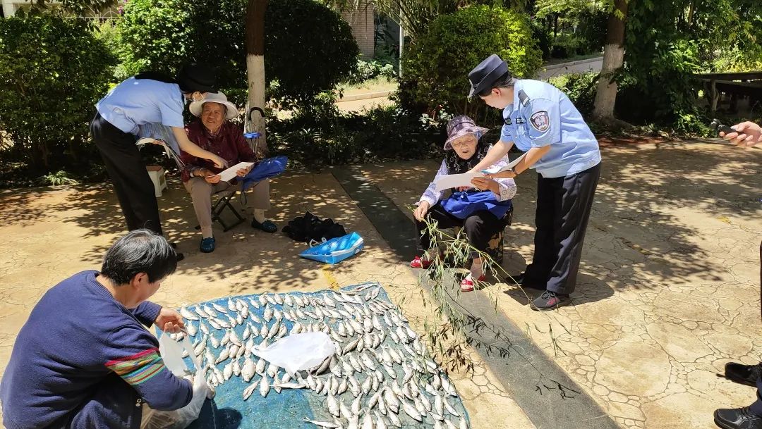 你会中招吗？今晚9点重磅分享，定好闹钟！