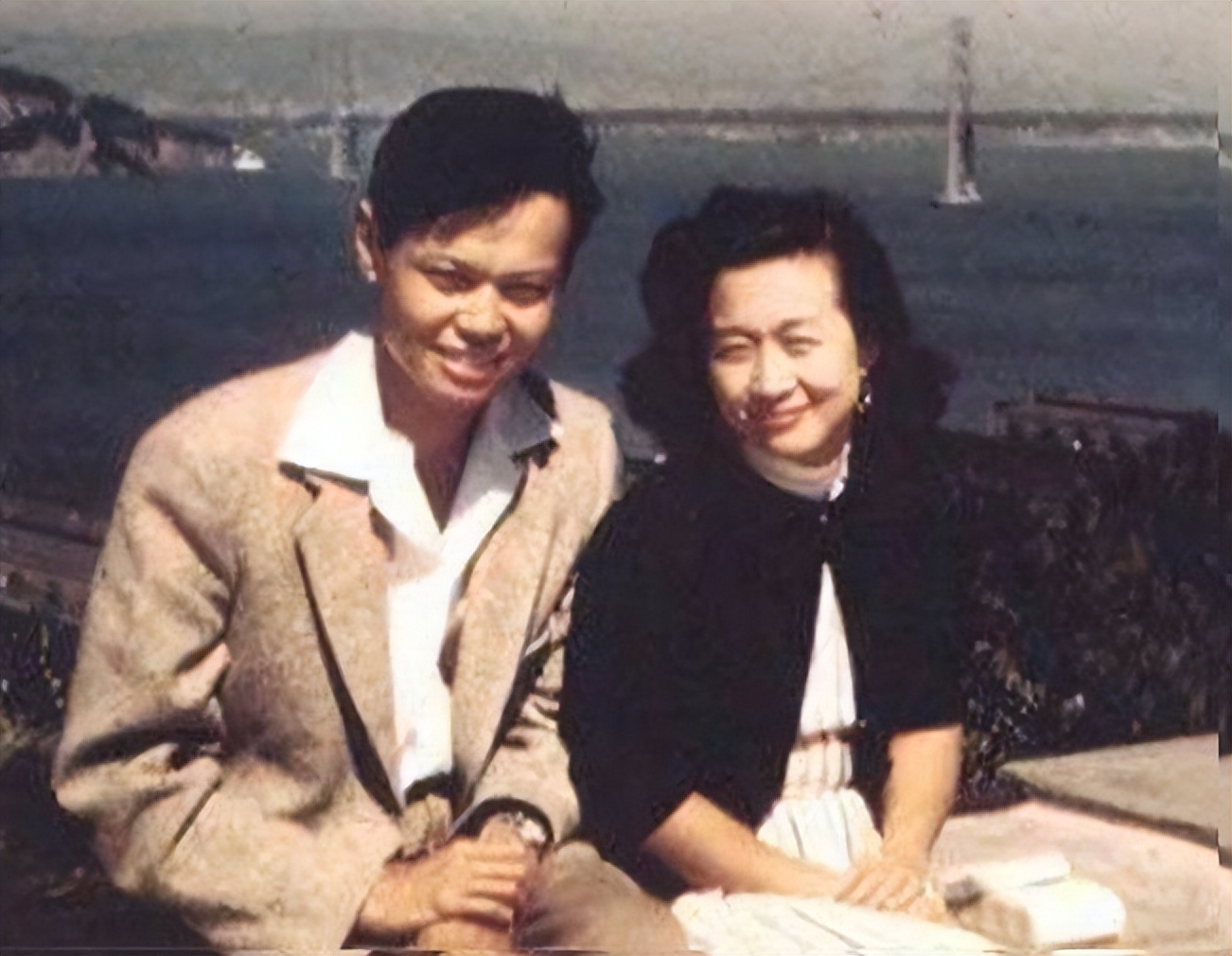 翁帆嫁给杨振宁的真正原因是什么,翁帆嫁给杨振宁是正确的婚姻观吗