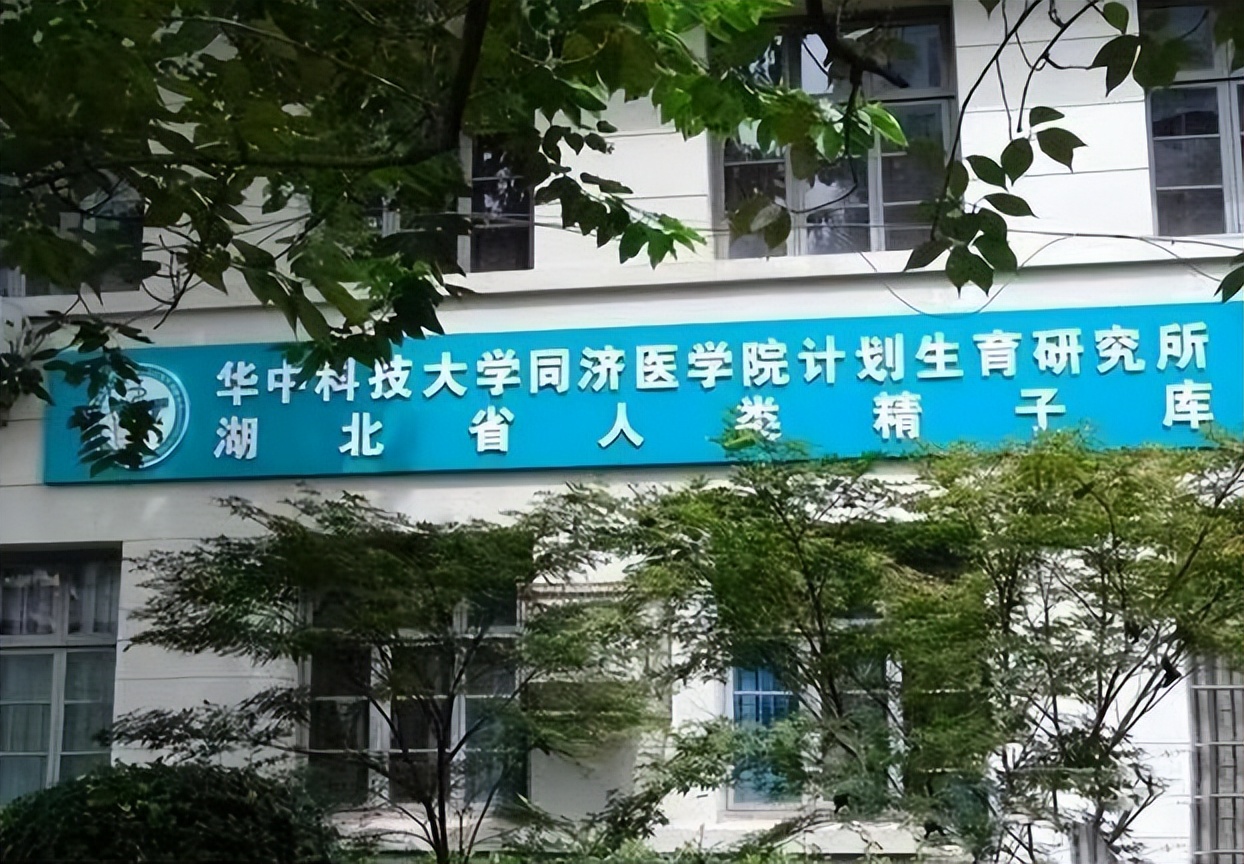2011年，医学博士11天捐精5次猝死，父亲索赔400万,后来怎样了？