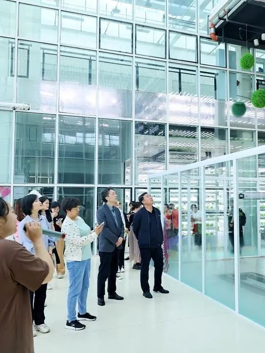 西安与成都教育对比,成都西安教育对比