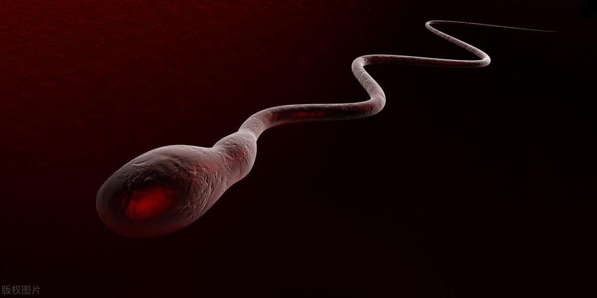 怎样让精子颜色恢复正常,精子颜色怎么恢复