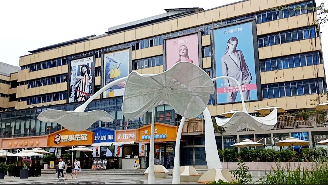 成都九龙荷花池批发市场,成都荷花池批发市场攻略