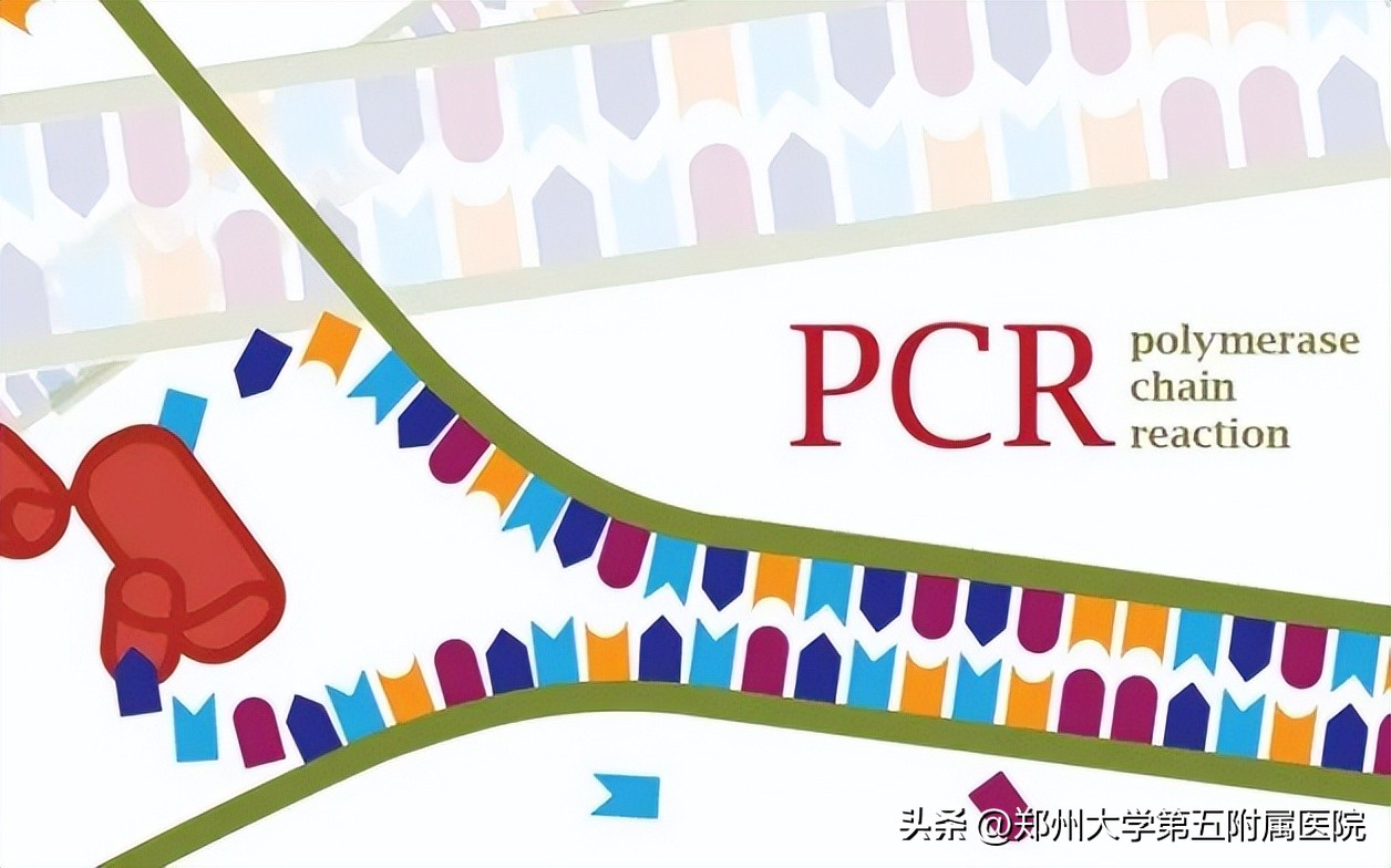 呼吸道疾病病原体抗体检测是什么,六项呼吸道病原体核酸检测