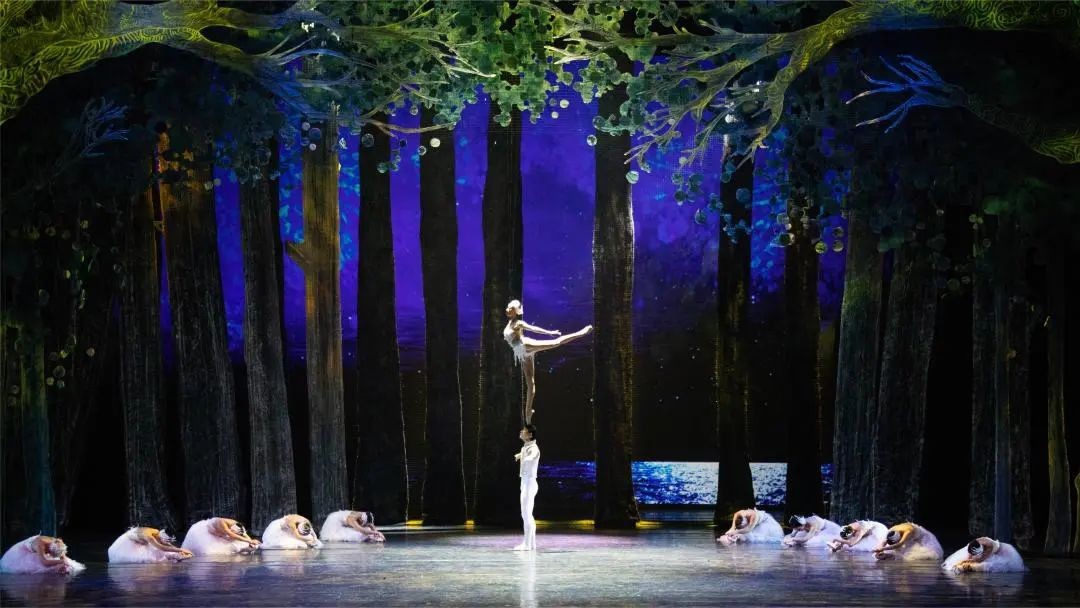 芭蕾杂技天鹅湖全场,杂技芭蕾剧天鹅湖票价