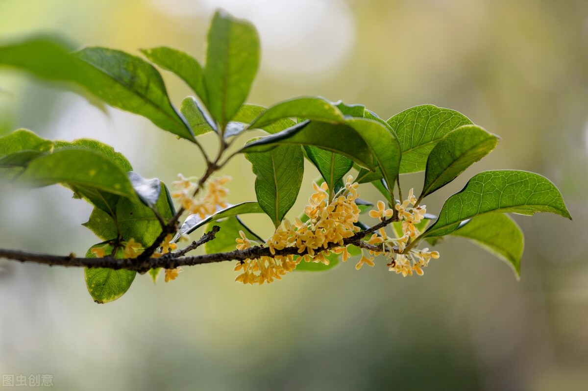 余生以适合自己的方式好好活下去,余生很贵选择自己舒服的方式生活
