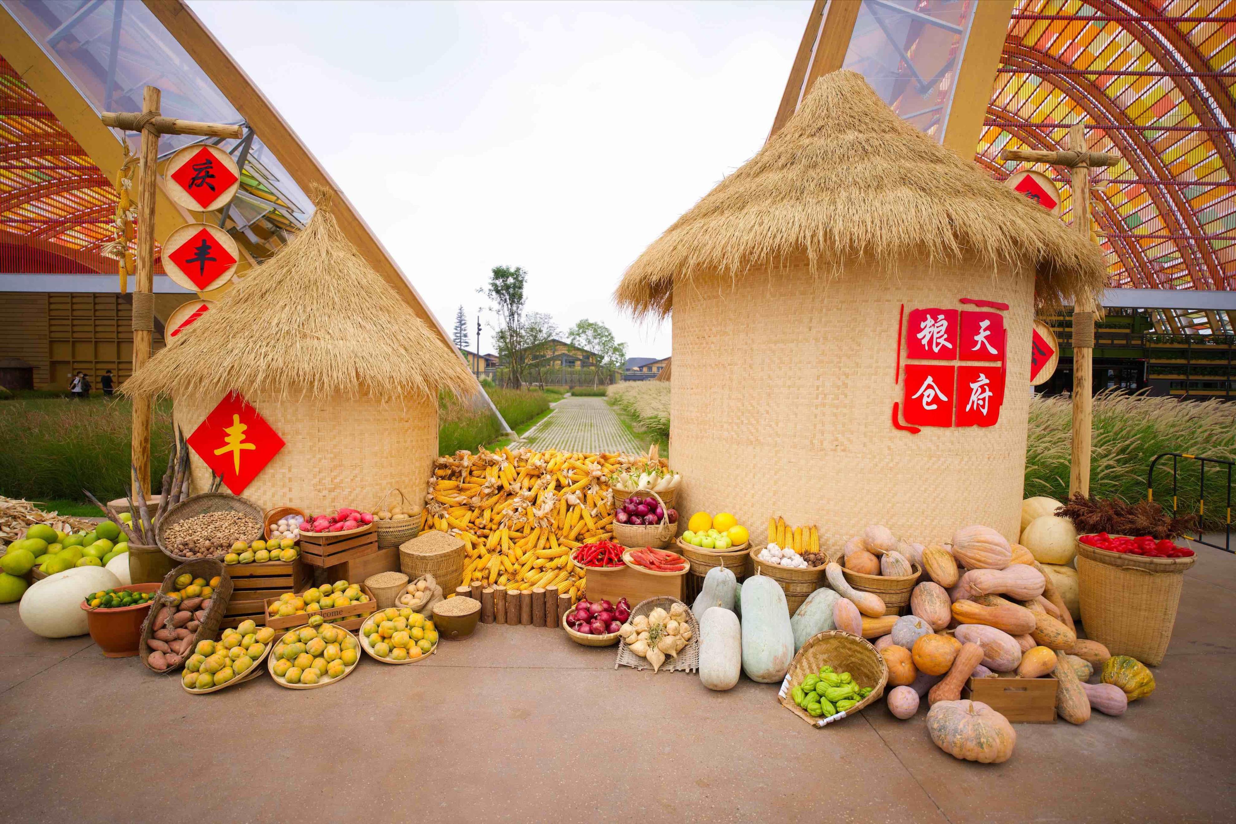 放假去哪里玩又便宜又好玩成都,假期去哪玩便宜又好玩儿成都