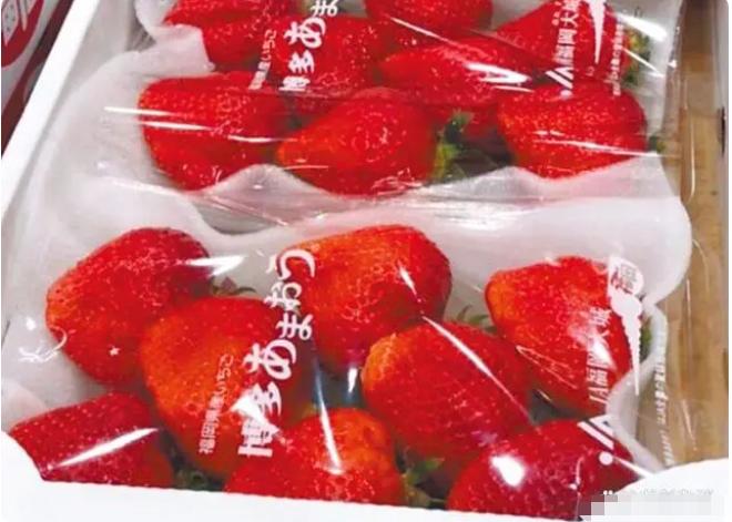 郭台铭每年向国家交多少税,郭台铭富士康查税怎么样了