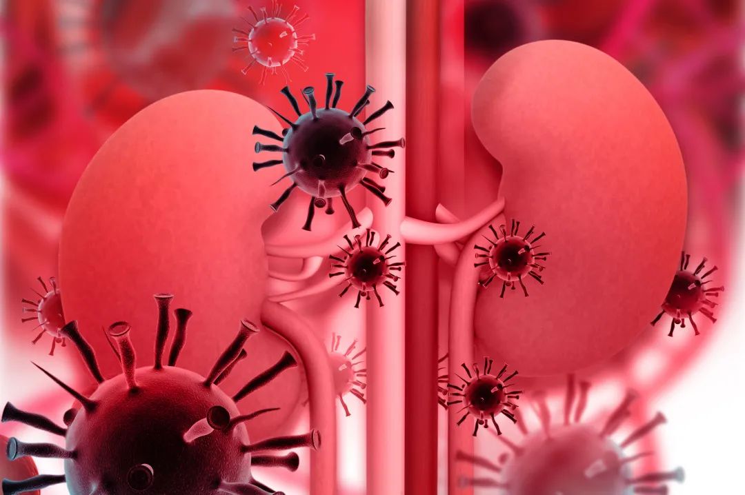 急性肾衰竭血肌酐一直升高,血肌酐和肾功肌酐是一回事吗